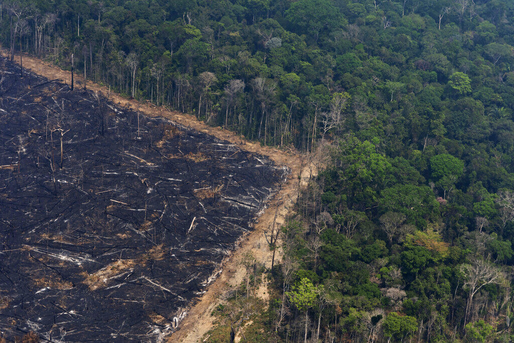 UN Climate Report